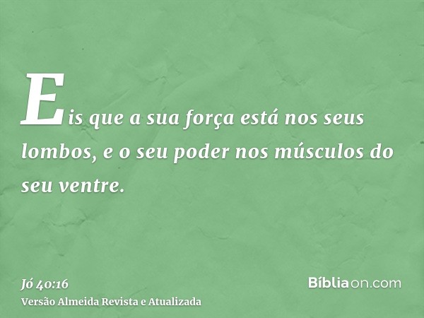 Eis que a sua força está nos seus lombos, e o seu poder nos músculos do seu ventre.