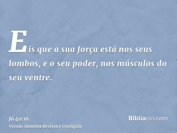 Eis que a sua força está nos seus lombos, e o seu poder, nos músculos do seu ventre.