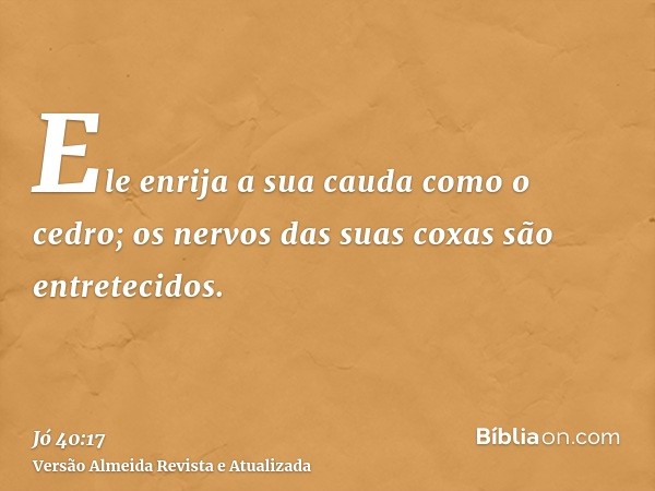 Ele enrija a sua cauda como o cedro; os nervos das suas coxas são entretecidos.