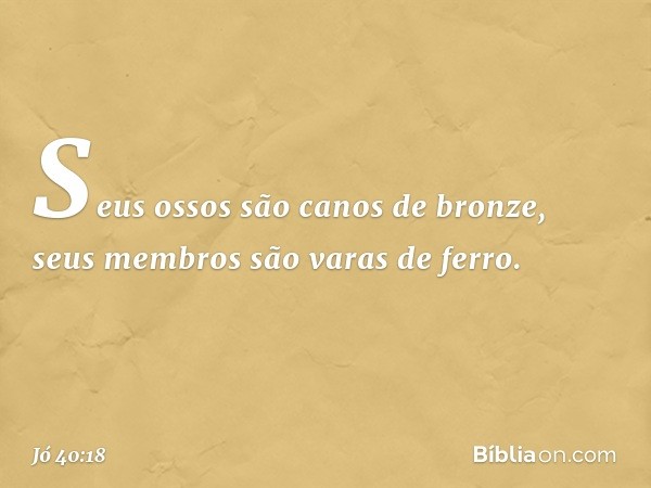 Seus ossos são canos de bronze,
seus membros são varas de ferro. -- Jó 40:18