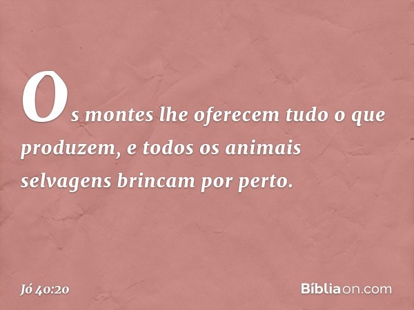 Os montes lhe oferecem
tudo o que produzem,
e todos os animais selvagens
brincam por perto. -- Jó 40:20