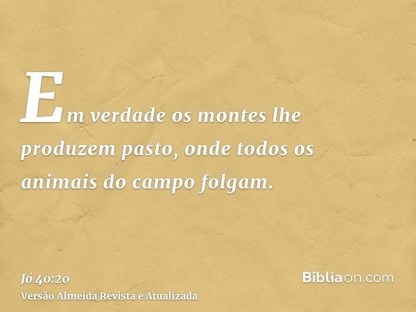 Em verdade os montes lhe produzem pasto, onde todos os animais do campo folgam.