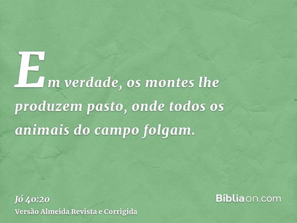 Em verdade, os montes lhe produzem pasto, onde todos os animais do campo folgam.