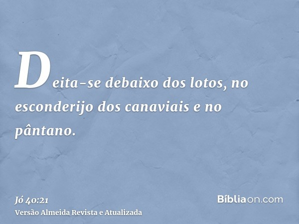 Deita-se debaixo dos lotos, no esconderijo dos canaviais e no pântano.