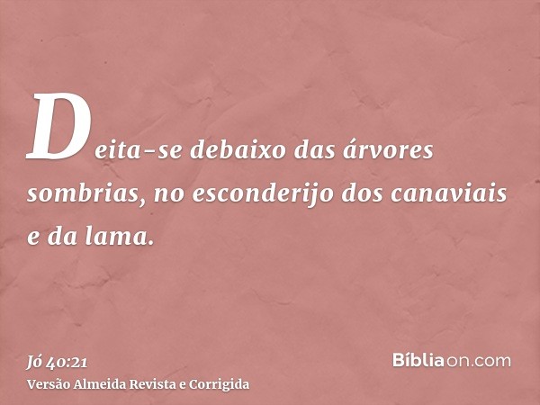 Deita-se debaixo das árvores sombrias, no esconderijo dos canaviais e da lama.