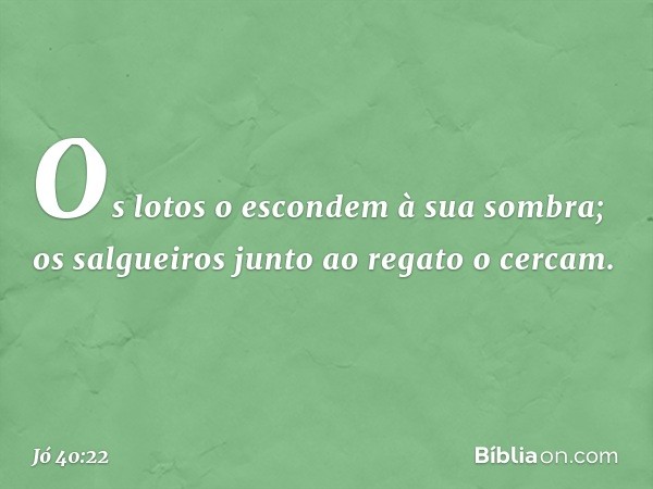 Os lotos o escondem à sua sombra;
os salgueiros junto ao regato o cercam. -- Jó 40:22