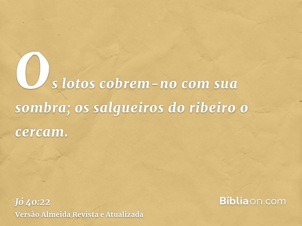 Os lotos cobrem-no com sua sombra; os salgueiros do ribeiro o cercam.