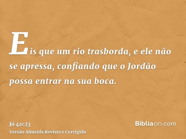 Eis que um rio trasborda, e ele não se apressa, confiando que o Jordão possa entrar na sua boca.