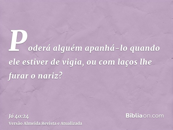 Poderá alguém apanhá-lo quando ele estiver de vigia, ou com laços lhe furar o nariz?