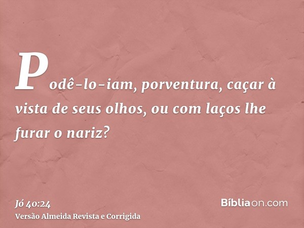 Podê-lo-iam, porventura, caçar à vista de seus olhos, ou com laços lhe furar o nariz?
