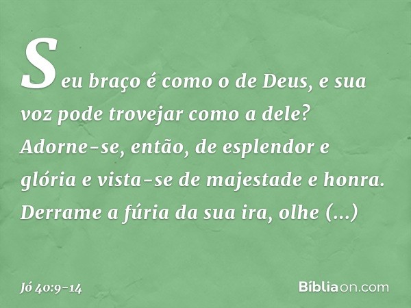 Seu braço é como o de Deus,
e sua voz pode trovejar como a dele? Adorne-se, então,
de esplendor e glória
e vista-se de majestade e honra. Derrame a fúria da sua