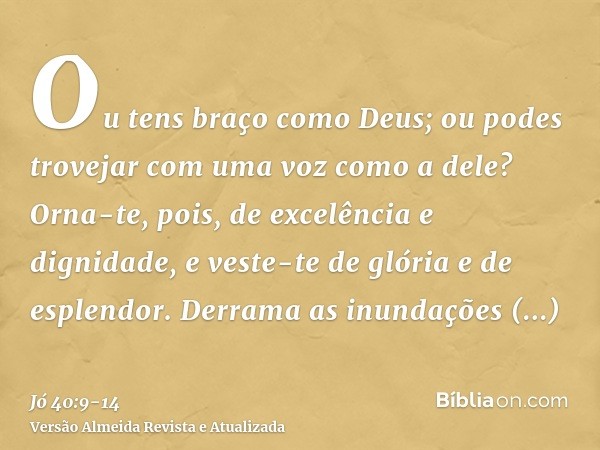 Ou tens braço como Deus; ou podes trovejar com uma voz como a dele?Orna-te, pois, de excelência e dignidade, e veste-te de glória e de esplendor.Derrama as inun