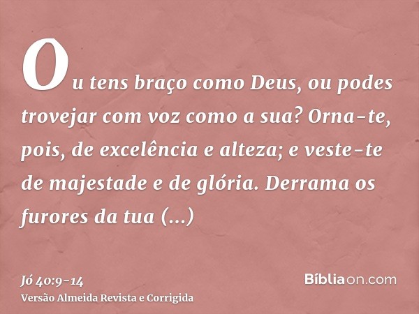 Ou tens braço como Deus, ou podes trovejar com voz como a sua?Orna-te, pois, de excelência e alteza; e veste-te de majestade e de glória.Derrama os furores da t