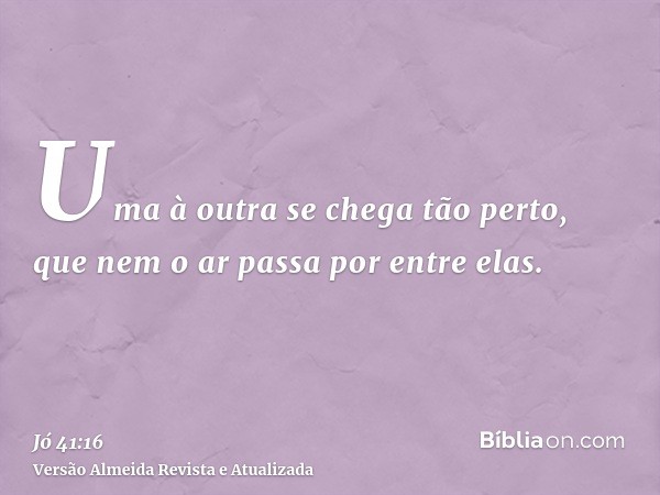 Uma à outra se chega tão perto, que nem o ar passa por entre elas.