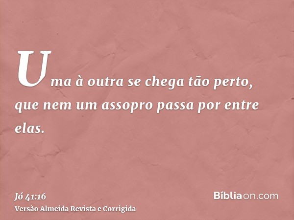 Uma à outra se chega tão perto, que nem um assopro passa por entre elas.