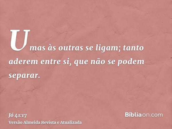 Umas às outras se ligam; tanto aderem entre si, que não se podem separar.