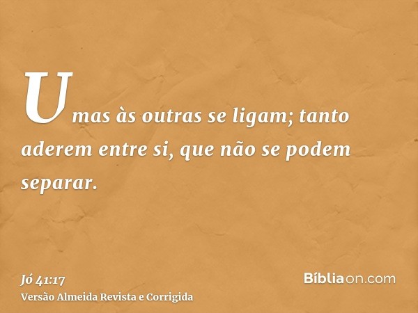 Umas às outras se ligam; tanto aderem entre si, que não se podem separar.