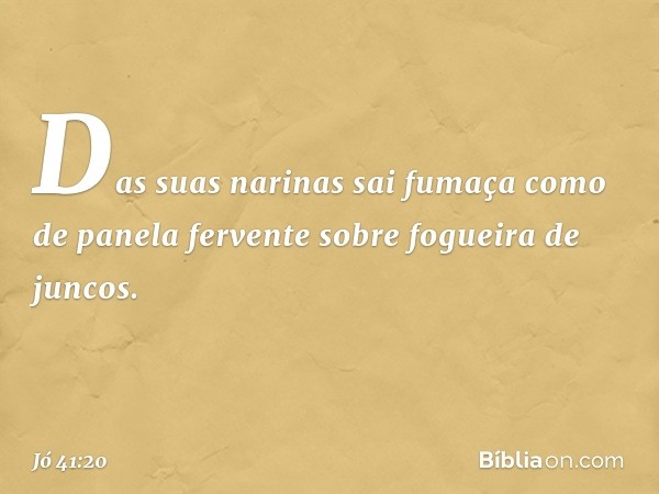 Das suas narinas sai fumaça
como de panela fervente
sobre fogueira de juncos. -- Jó 41:20