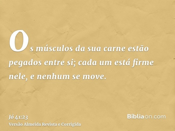 Os músculos da sua carne estão pegados entre si; cada um está firme nele, e nenhum se move.