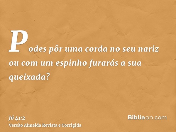 Podes pôr uma corda no seu nariz ou com um espinho furarás a sua queixada?