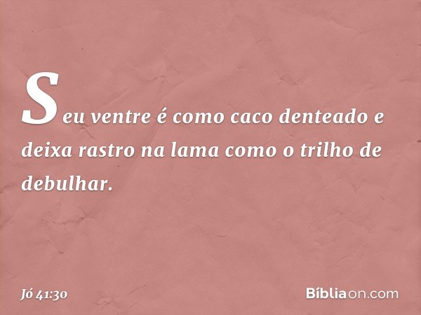 Seu ventre é como caco denteado
e deixa rastro na lama
como o trilho de debulhar. -- Jó 41:30