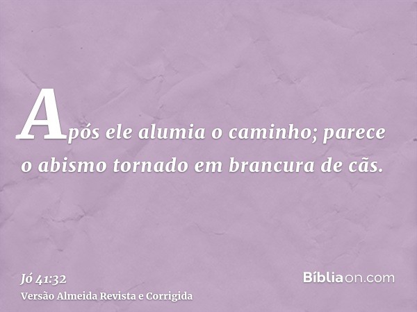 Após ele alumia o caminho; parece o abismo tornado em brancura de cãs.