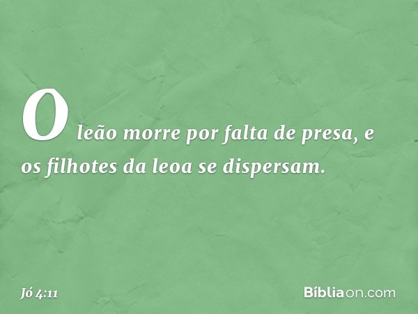 O leão morre por falta de presa,
e os filhotes da leoa se dispersam. -- Jó 4:11