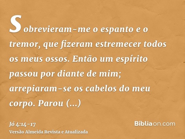 sobrevieram-me o espanto e o tremor, que fizeram estremecer todos os meus ossos.Então um espírito passou por diante de mim; arrepiaram-se os cabelos do meu corp