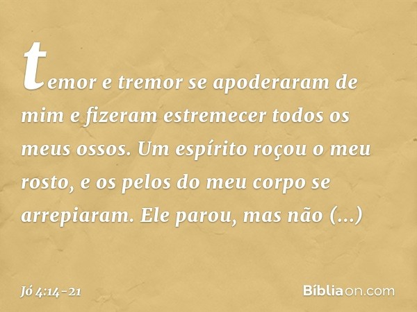 temor e tremor
se apoderaram de mim
e fizeram estremecer
todos os meus ossos. Um espírito roçou o meu rosto,
e os pelos do meu corpo
se arrepiaram. Ele parou,
m