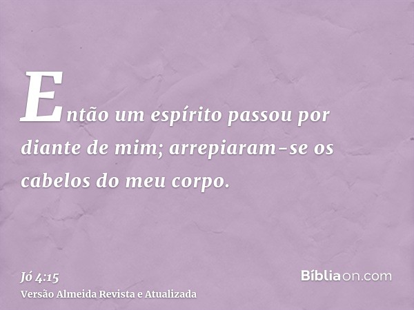 Então um espírito passou por diante de mim; arrepiaram-se os cabelos do meu corpo.