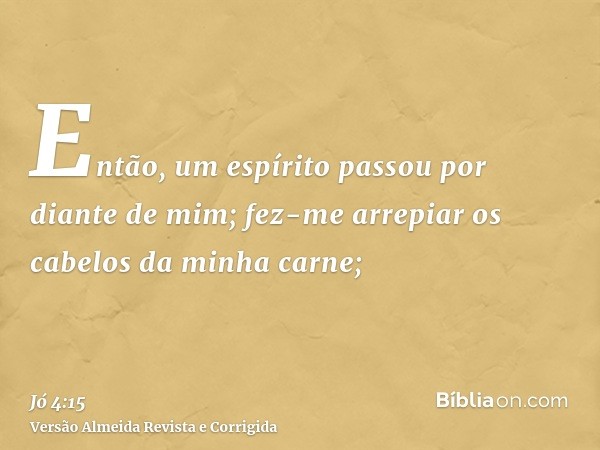 Então, um espírito passou por diante de mim; fez-me arrepiar os cabelos da minha carne;
