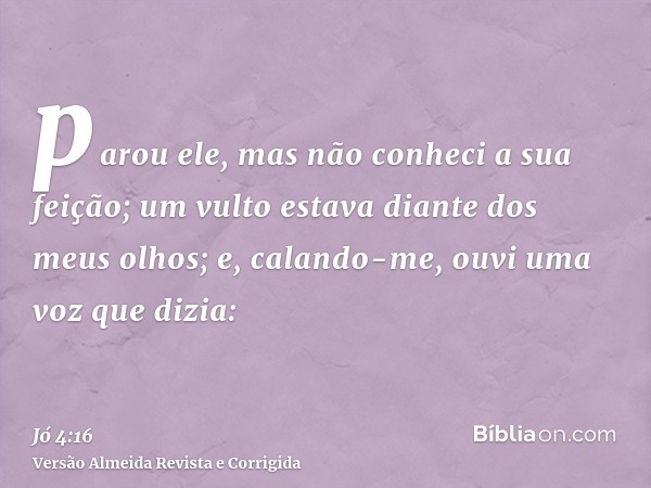 parou ele, mas não conheci a sua feição; um vulto estava diante dos meus olhos; e, calando-me, ouvi uma voz que dizia:
