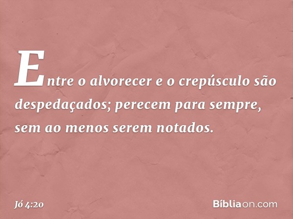 Entre o alvorecer e o crepúsculo
são despedaçados;
perecem para sempre,
sem ao menos serem notados. -- Jó 4:20