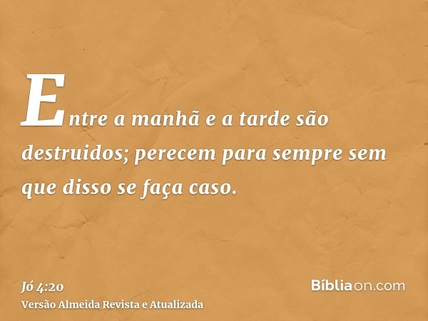 Entre a manhã e a tarde são destruidos; perecem para sempre sem que disso se faça caso.