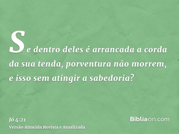 Se dentro deles é arrancada a corda da sua tenda, porventura não morrem, e isso sem atingir a sabedoria?