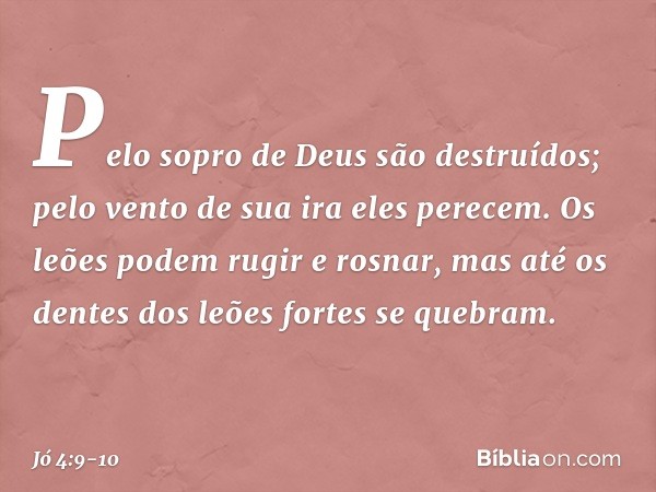 Pelo sopro de Deus são destruídos;
pelo vento de sua ira eles perecem. Os leões podem rugir e rosnar,
mas até os dentes dos leões fortes
se quebram. -- Jó 4:9-1