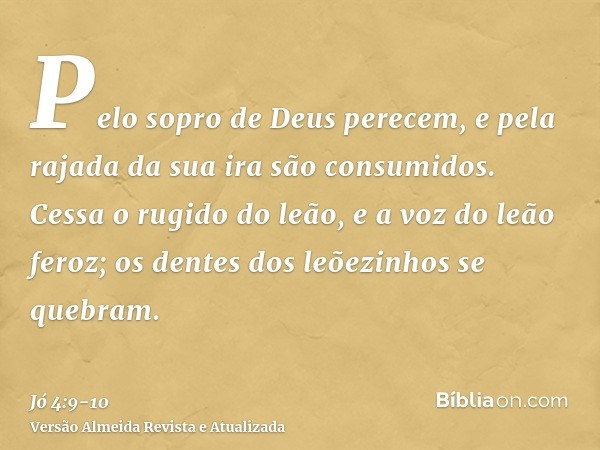 Pelo sopro de Deus perecem, e pela rajada da sua ira são consumidos.Cessa o rugido do leão, e a voz do leão feroz; os dentes dos leõezinhos se quebram.