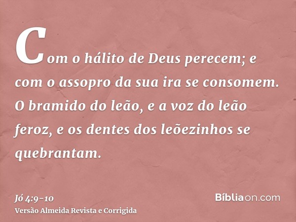 Com o hálito de Deus perecem; e com o assopro da sua ira se consomem.O bramido do leão, e a voz do leão feroz, e os dentes dos leõezinhos se quebrantam.