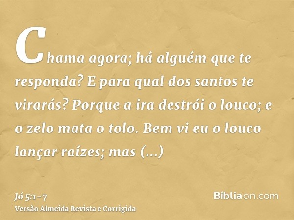 Chama agora; há alguém que te responda? E para qual dos santos te virarás?Porque a ira destrói o louco; e o zelo mata o tolo.Bem vi eu o louco lançar raízes; ma