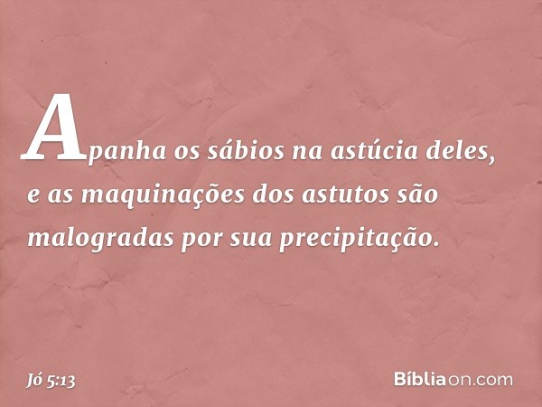 Apanha os sábios na astúcia deles,
e as maquinações dos astutos
são malogradas por sua precipitação. -- Jó 5:13