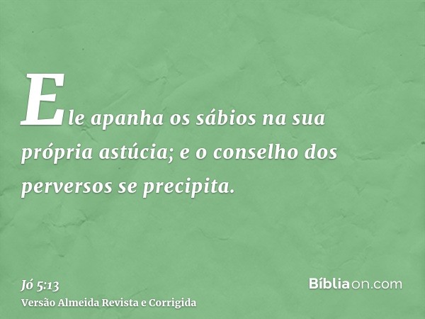 Ele apanha os sábios na sua própria astúcia; e o conselho dos perversos se precipita.