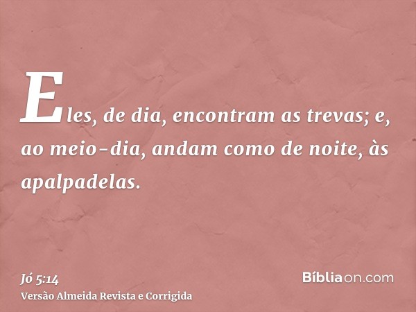 Eles, de dia, encontram as trevas; e, ao meio-dia, andam como de noite, às apalpadelas.