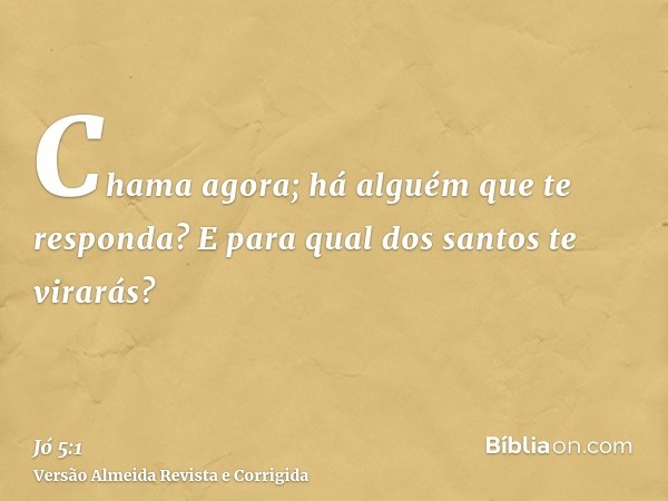 Chama agora; há alguém que te responda? E para qual dos santos te virarás?