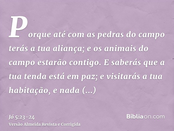 Porque até com as pedras do campo terás a tua aliança; e os animais do campo estarão contigo.E saberás que a tua tenda está em paz; e visitarás a tua habitação,