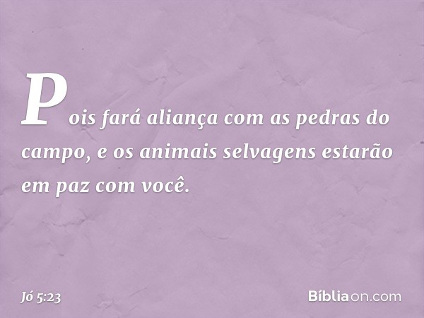 Pois fará aliança
com as pedras do campo,
e os animais selvagens
estarão em paz com você. -- Jó 5:23