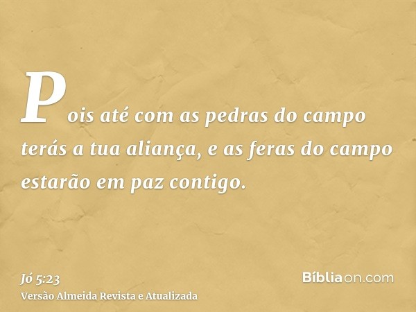 Pois até com as pedras do campo terás a tua aliança, e as feras do campo estarão em paz contigo.