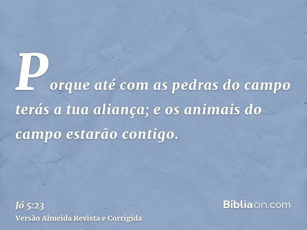 Porque até com as pedras do campo terás a tua aliança; e os animais do campo estarão contigo.