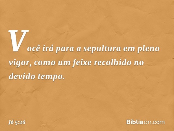 Você irá para a sepultura
em pleno vigor,
como um feixe recolhido
no devido tempo. -- Jó 5:26