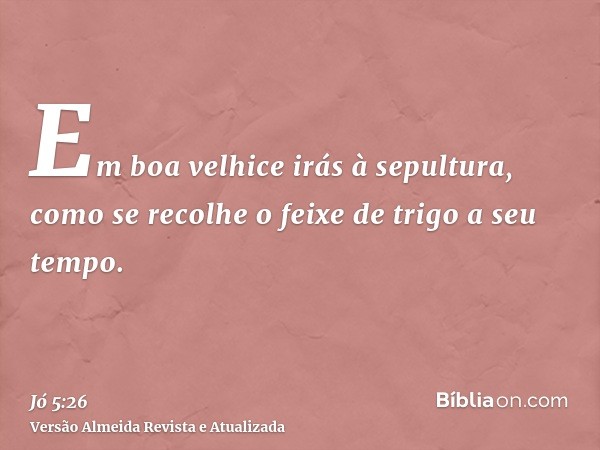 Em boa velhice irás à sepultura, como se recolhe o feixe de trigo a seu tempo.