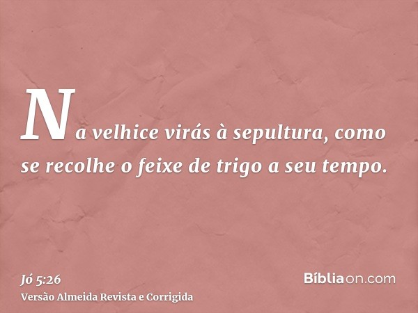 Na velhice virás à sepultura, como se recolhe o feixe de trigo a seu tempo.